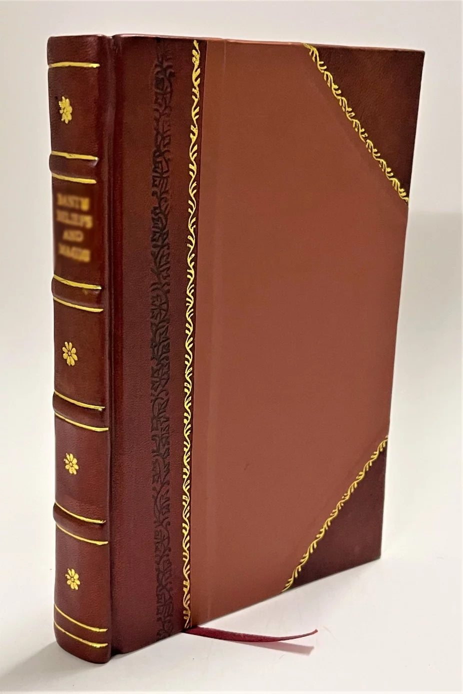 Elements of political economy : with especial reference to the industrial history of nations / Thompson, Robert Ellis (1882) [Leather Bound]