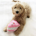 Zippy Paws 817013 Birthday Cake Dog Toy, Pink