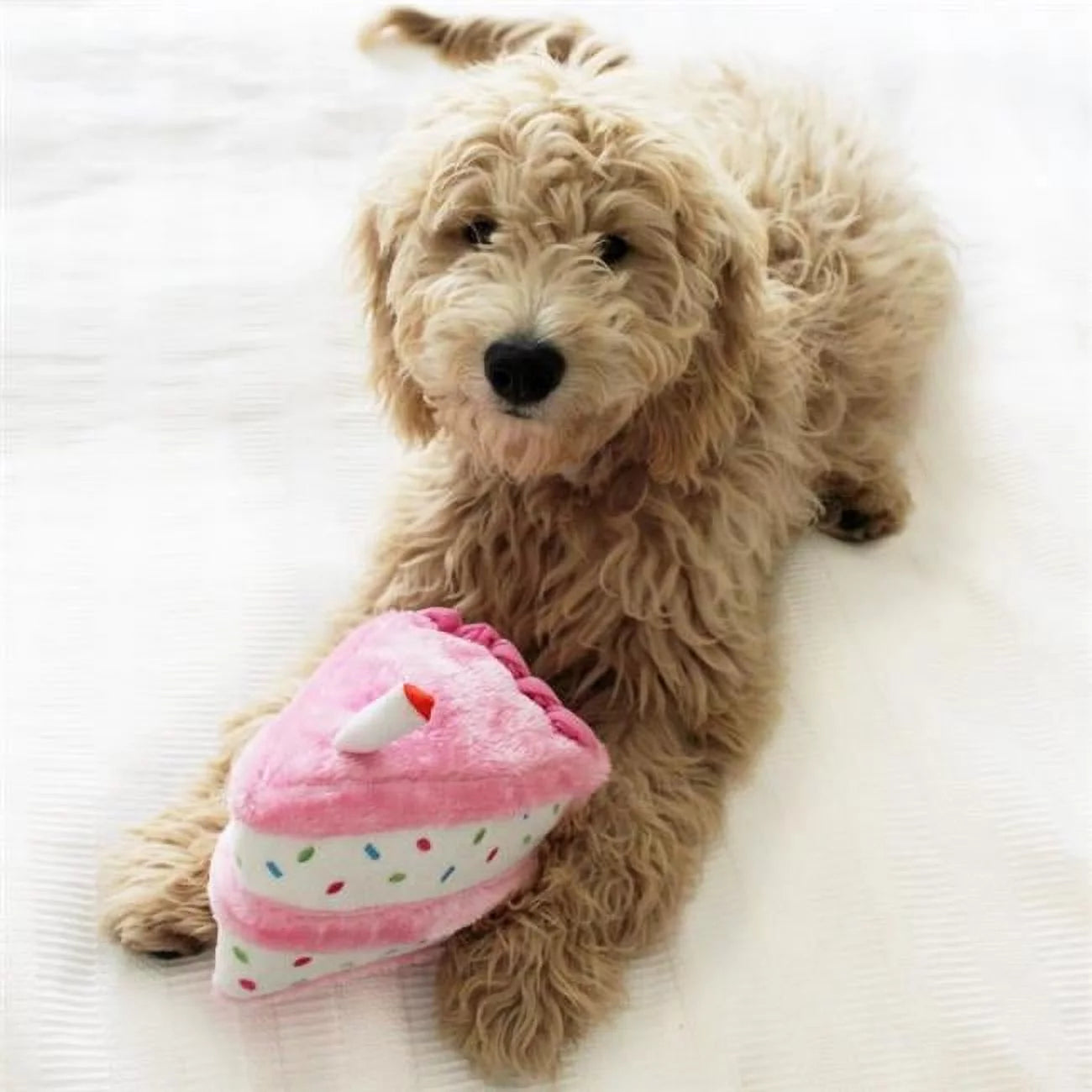 Zippy Paws 817013 Birthday Cake Dog Toy, Pink